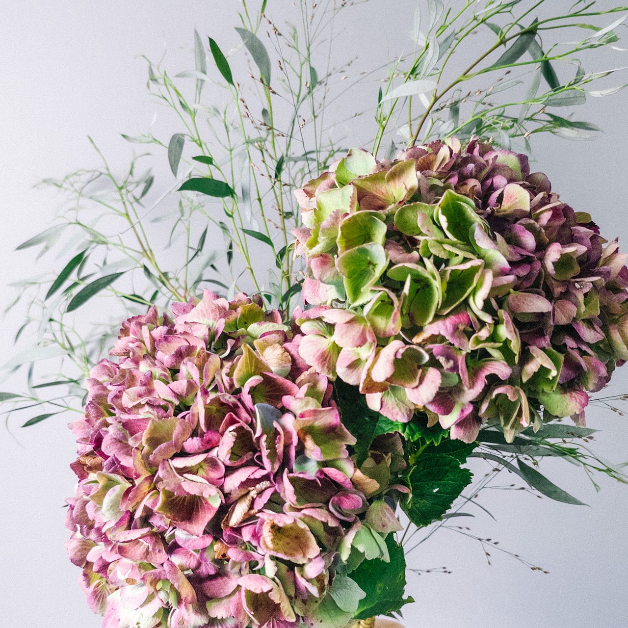 アンティーク紫陽花