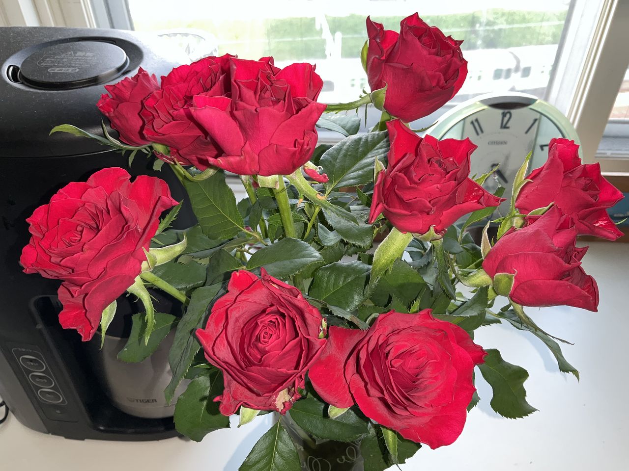 生産者さん応援ローズ（レッドおまかせ10本）