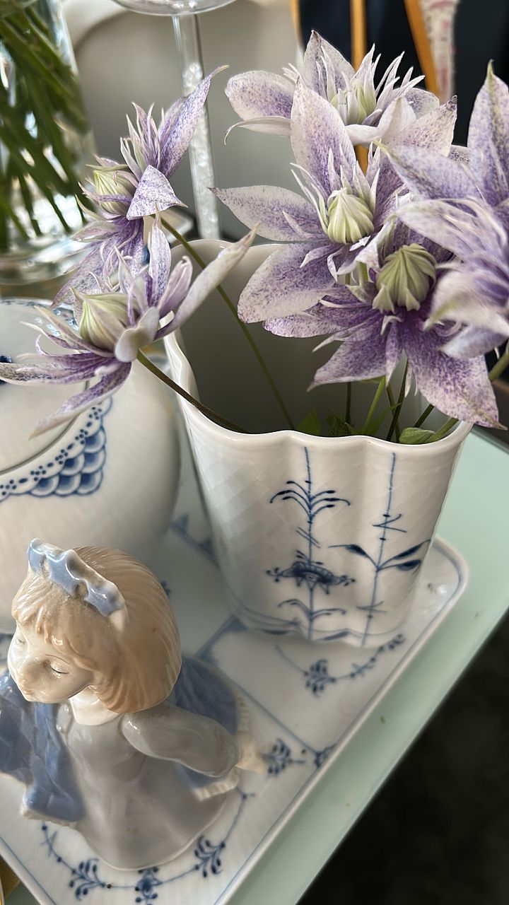 希少クレマチス「水面の妖精」