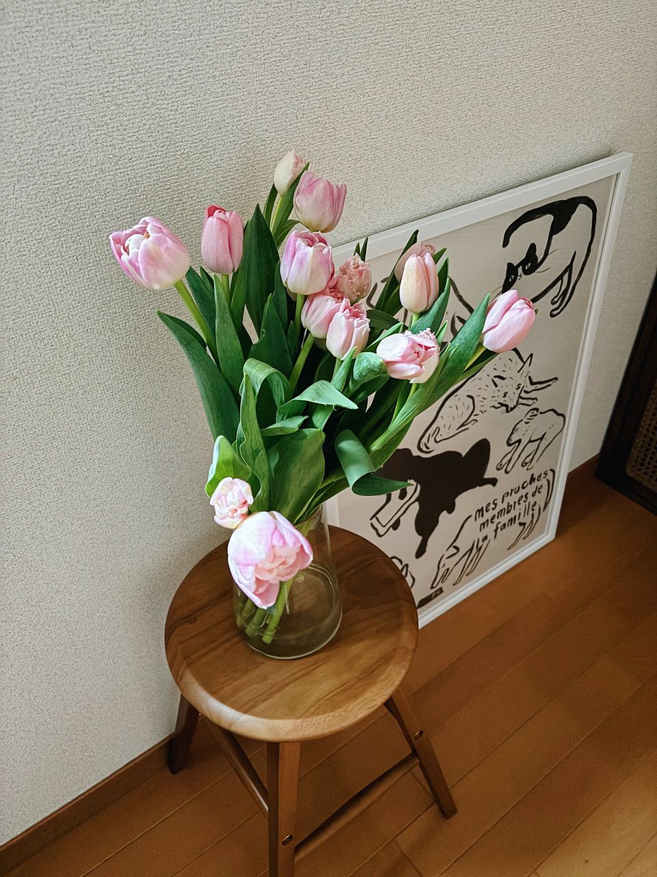 産直】センティアのおまかせチューリップ（ピンクMIX）