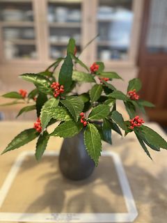 お正月の枝もの「千両」