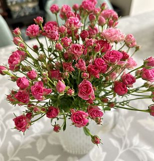 世界一小さなバラ「リトルウッズ」