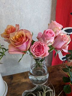 後藤バラ園の「ヴィンテージとラブロ」