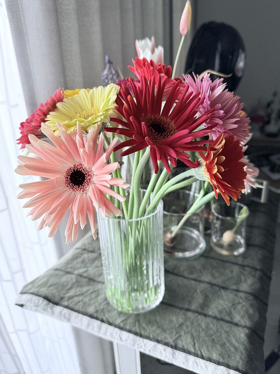 産直】松木園芸のおまかせガーベラ