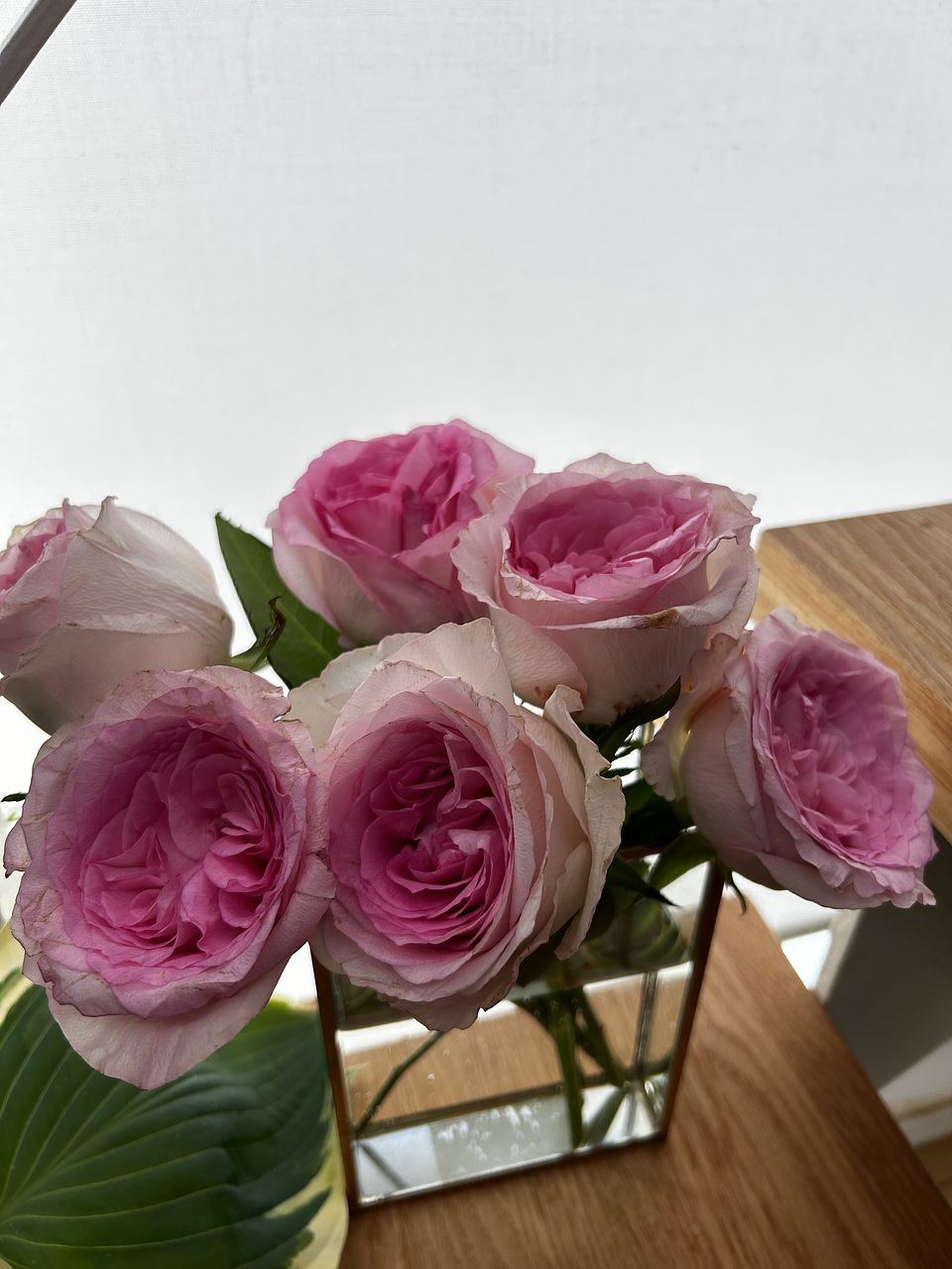 FLOWER｜かわいい花束を【送料無料】でお届け！毎日お得なオンラインの