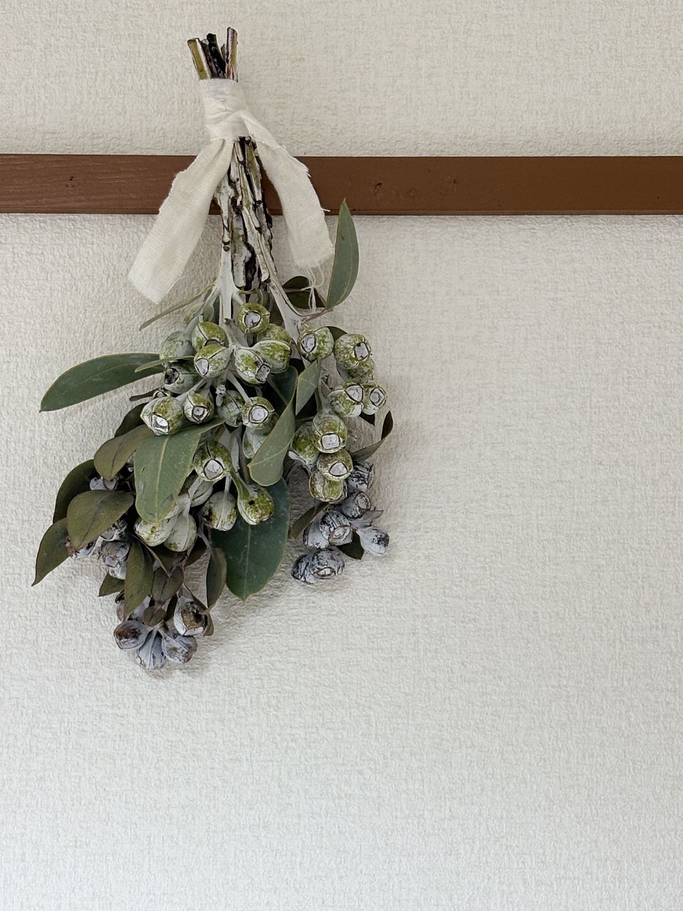 ユーカリ「テトラゴナナッツ」