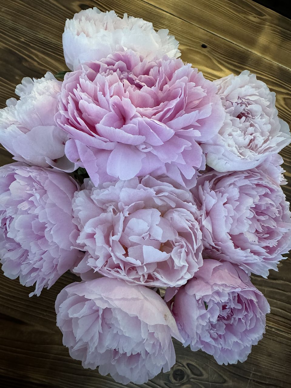 専用　ピンク芍薬　クレイフラワー グレイピンクの芍薬のお飾り - honeygarden