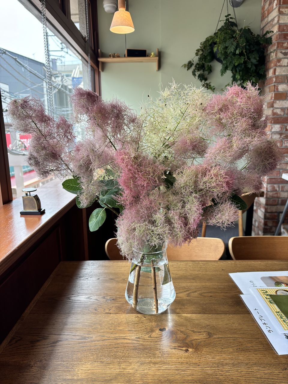 ボリューム満点‼️超特大サイズ 200size ⑫スモークツリー ドライ