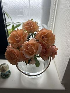 生産者さん応援ローズ（オレンジ、アプリコットおまかせ10本）